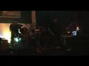 bayroot-5