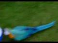 ARA mit Wasserball