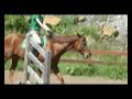 Click here to watch this video Handsome Jack