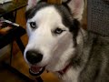 Kaiser-Really-Wants-