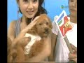 [2008.10.09] 東張西望 SHE台灣獨家直擊訪問 - free flv video @ vwatch.tv
