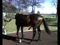 empire maker is a stud empire maker is a stud
