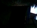 videos de wayne at folly