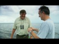Last Chance to See Preview - Episode 1: Candiru - BBC Two