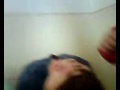 un copil distrus cica joaca ""BAZA americana "" Manele-Gratis.net