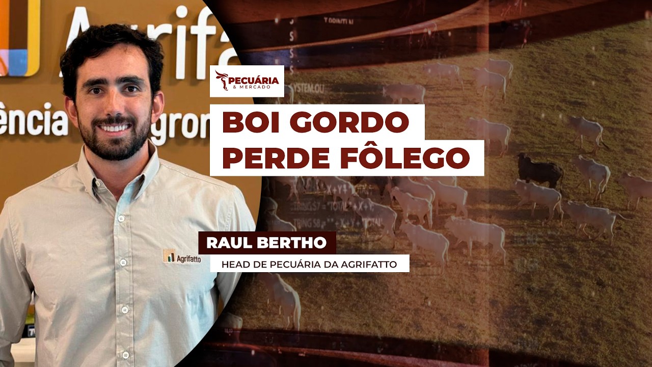 Semana começa com expectativa de novas baixas na arroba com mercado físico se ajustando à B3...