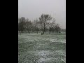 london's pre chrismas snow