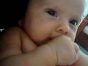 Guguinha morrendo de fome Guguinha morrendo de fome