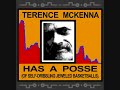 Terence Mckenna: Seeking the stone p5 Terence Mckenna: Seeking the stone p5