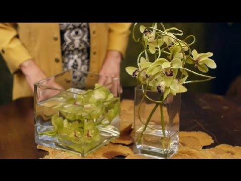 how to grow cymbidium orchids