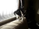 Filou