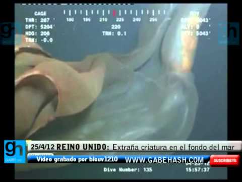 Mar - PAGINA WEB http://www.gabehash.com/ YOUTUBE http://www.youtube.com/Gabehash (Canal Español) http://www.youtube.com/GabehashTV (English Channel) TWITTER https...