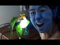 The AVATAR Noob - free flv video @ vwatch.tv