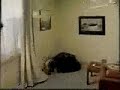 funny cute video