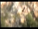 www.faceadrenalin.com Bloukrans Bungy Tash Norton