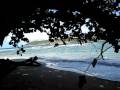 videos de mvi 0365