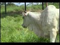 série   conheça rolim de moura 2