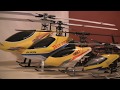 T-Rex 250, 450, 500, 600 - T-Rex 600 first Hover