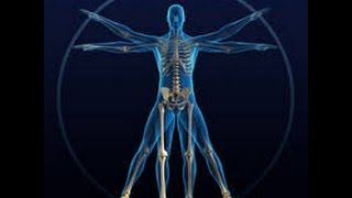 Biomeccanica e nordic walking