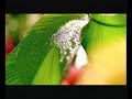 Natura Águas