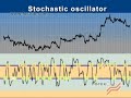 The Essential Indicators
