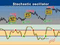 The Essential Indicators
