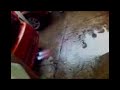 pointer lanza llamas