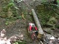 Trial
