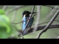 私の夜はあなたの昼より美しい