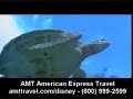 Disney Cruise Line Disney Cruise Line