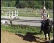 Horse Rosenfee