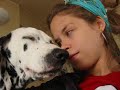 Dalmatian,Benek in memory of...