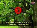 Sa-mi canti cobzar ( Karaoke )