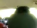 LoS PalomERoS