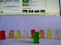 the gummy bear song, its lame i kno =]
