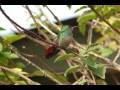 videos de Perdonanos tierra