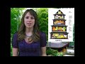 US Food  vs. International Food,  Guide Lines Nutrition