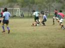 CMB m-19 vs. QUC 5