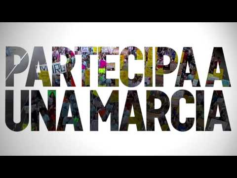 Immagine anteprima YouTube