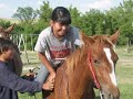 visit the one spirit website:
http://nativeprogress.org