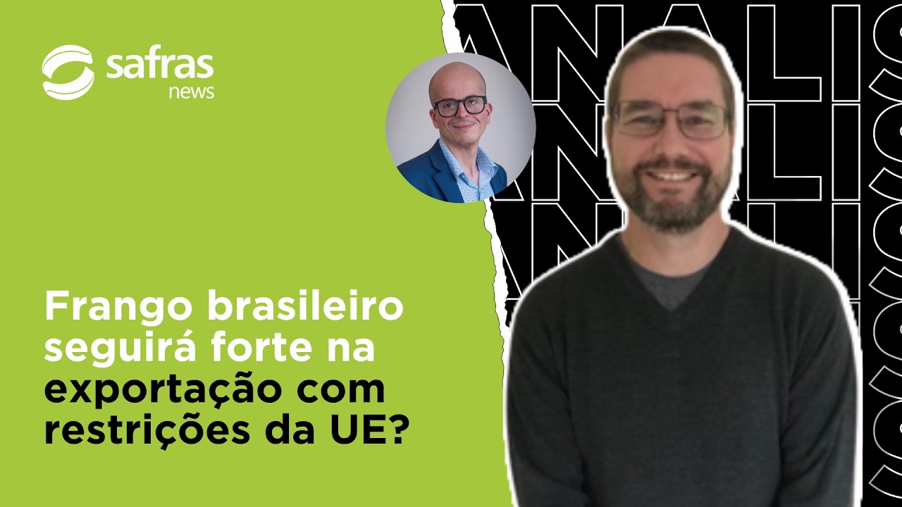 Frango brasileiro seguirá forte na exportação com restrições da UE? – Conversa com o Analista