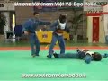 Vovinam Knockouts Vovinam Knockouts