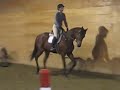 shore-trot