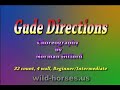 Gude Directions