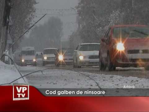 Cod galben de ninsoare