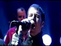 the coral dreaming of you jools holland
