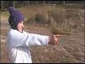 Dual Gold Desert Eagles .50 Tiger Stripe