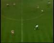 Die Glazer!