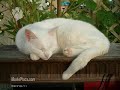xxx-hot-pussy-xxx.html
