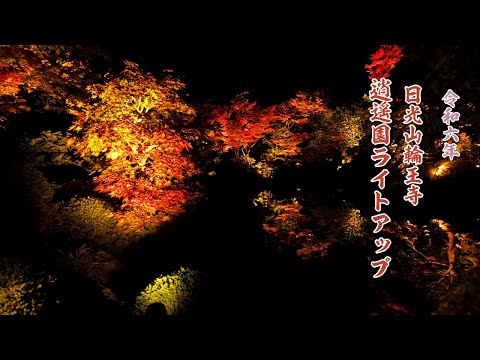 2024N@R։ 疗yCgAbv